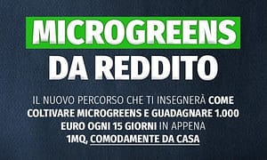 Microgreens da Reddito (Premium) – Rendita Agricola
