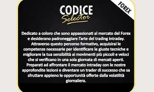 Codice Selector MASTER – Max Mereghetti