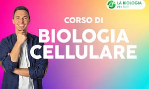Biologia Celluare – LGEducation
